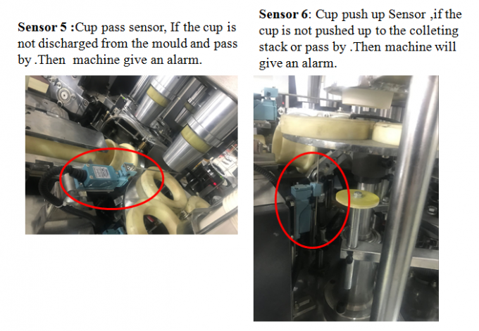 Fast Paper Cup Manufacturing Machines / OEM Disposable Tea Cup Machine